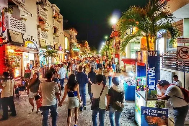 Elegance On Fifth Avenue Daire Playa del Carmen